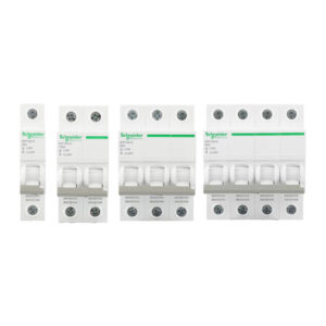 Schneider Electric Disconnecting Switch iINT125 Pro 1P 2P 3P 4P 32A to 125A